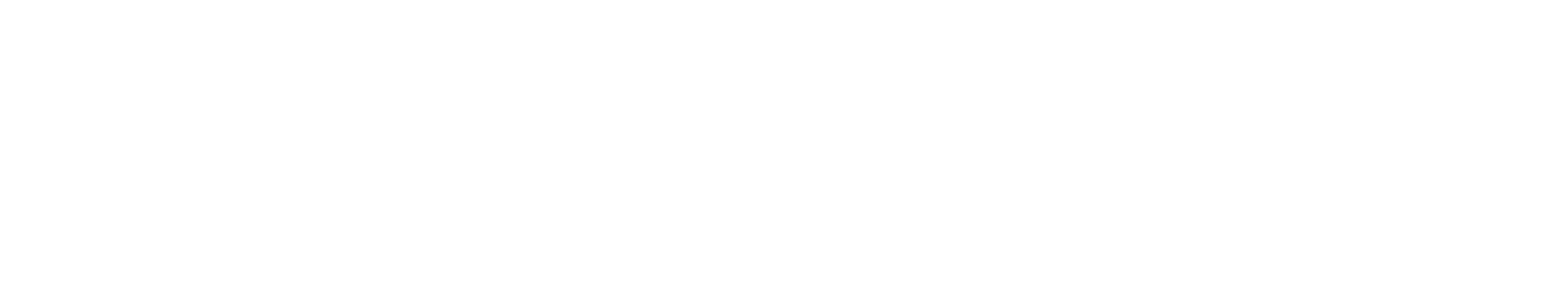 Leysa Data